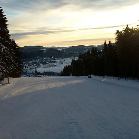 Haus Irmhild Willingen (Upland)